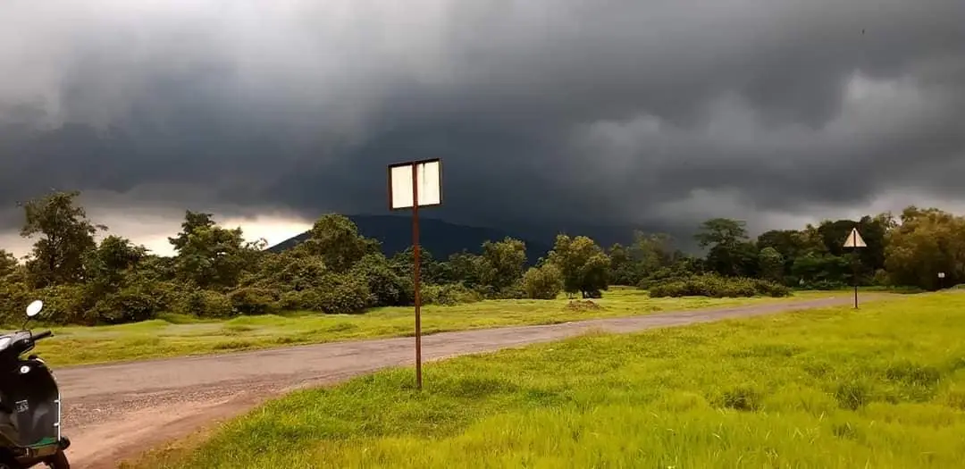 हिरवागार निसर्ग